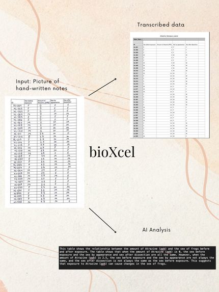 bioXcel – screenshot 1