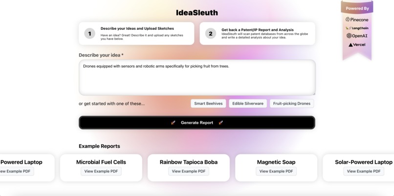 IdeaSleuth – screenshot 2
