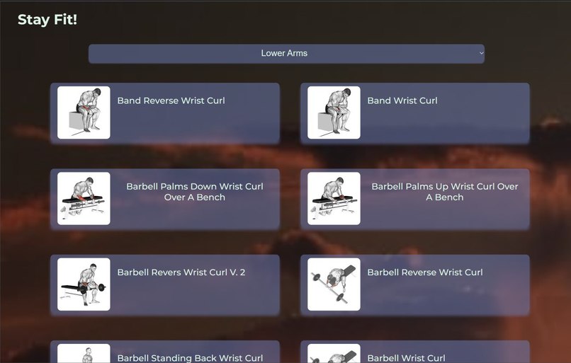 StayFit_2.0 – screenshot 1