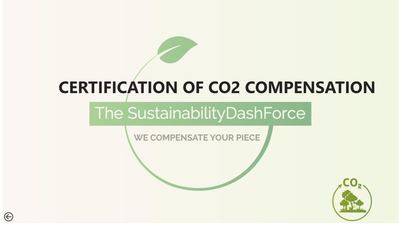 The Sustainability Dashforce – screenshot 5