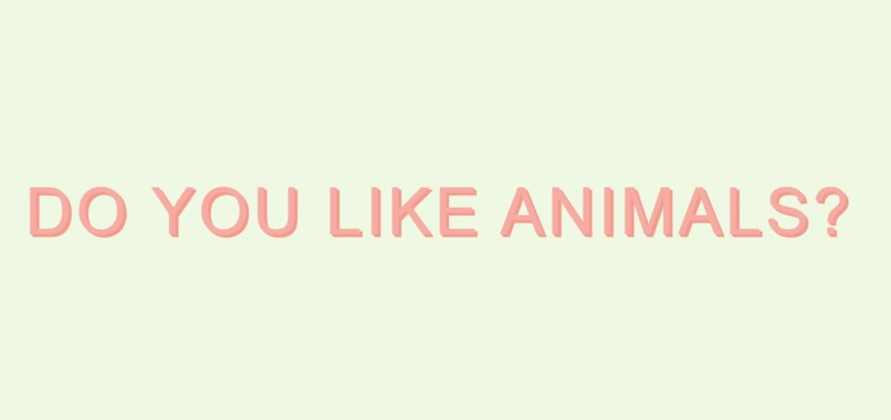 Animal Learning Party – screenshot 1