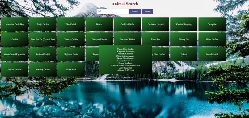 Animal Learning Party – screenshot 5