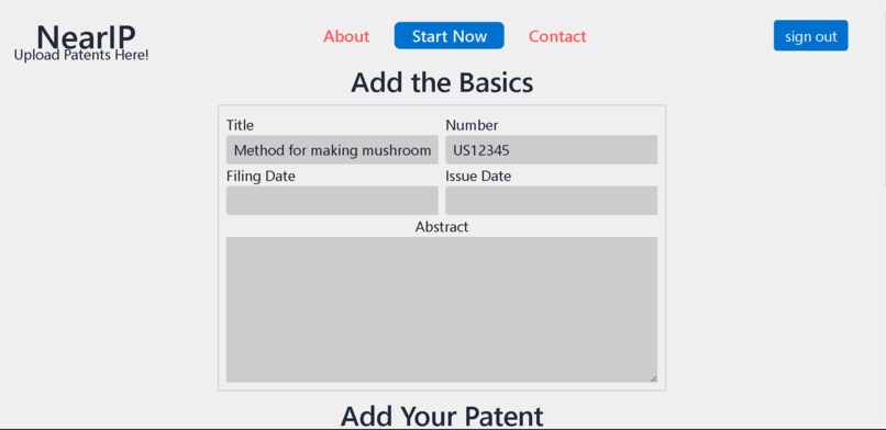 NearIP – screenshot 3