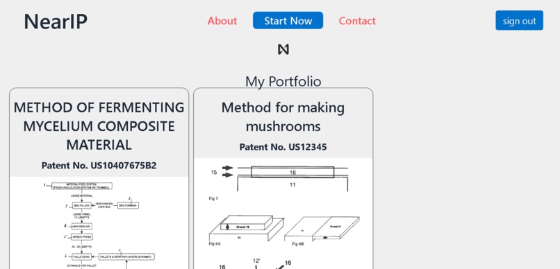 NearIP – screenshot 4