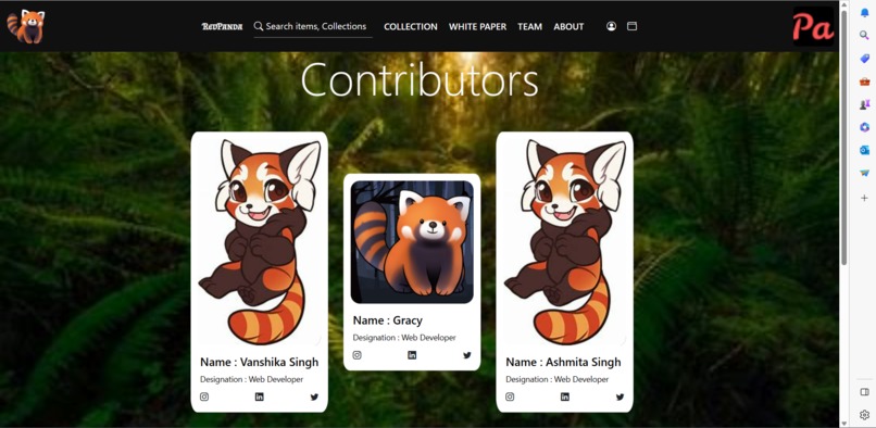 Red Panda Saviours – screenshot 4