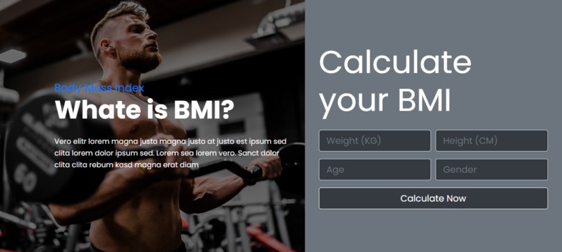 BMI Calculator – screenshot 2