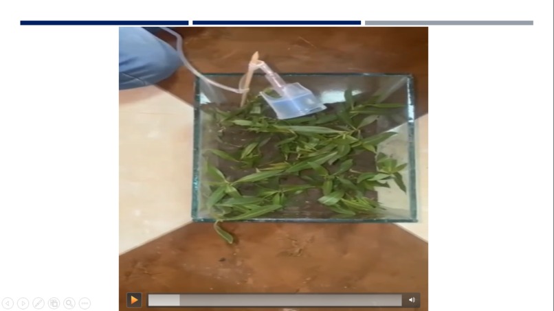 TOMATO DISEASES DETECTION – screenshot 1