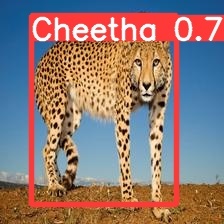Project Mufasa  – screenshot 3