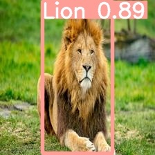 Project Mufasa  – screenshot 4