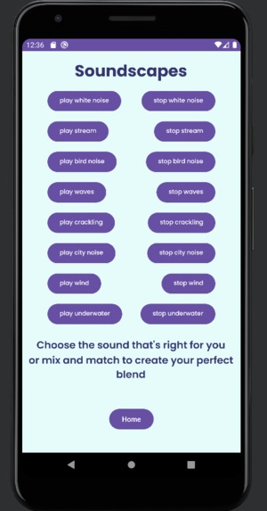 REMedy – screenshot 6