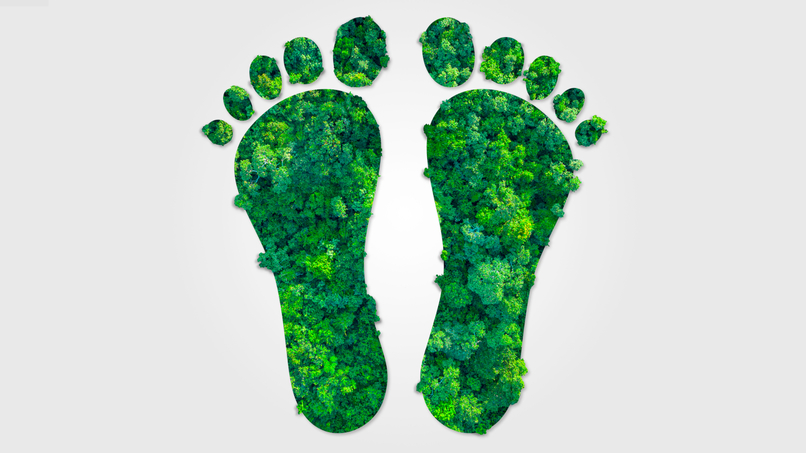 Carbon Footprint Calculator – screenshot 1