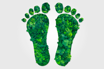 Carbon Footprint Calculator