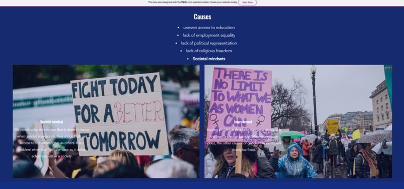 Gender Equality – screenshot 4