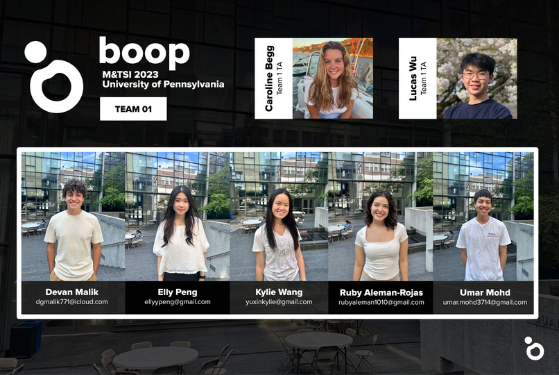 Team 01: Boop – screenshot 1