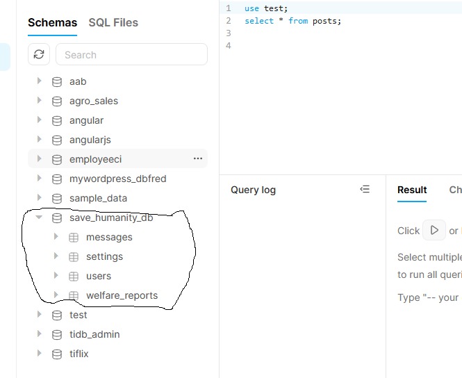 TiDB – screenshot 1
