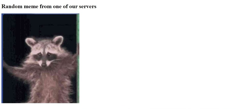 Meme delivery network, a CDN using TiDB – screenshot 1