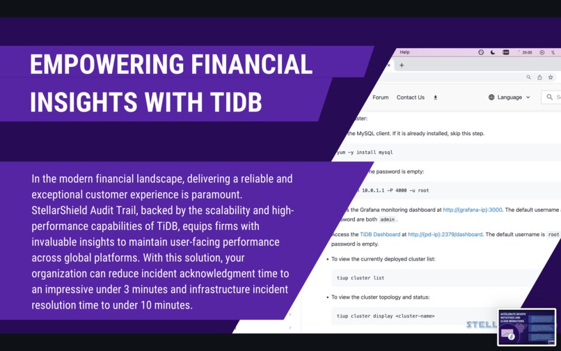 StellarShield TiDB  – screenshot 12