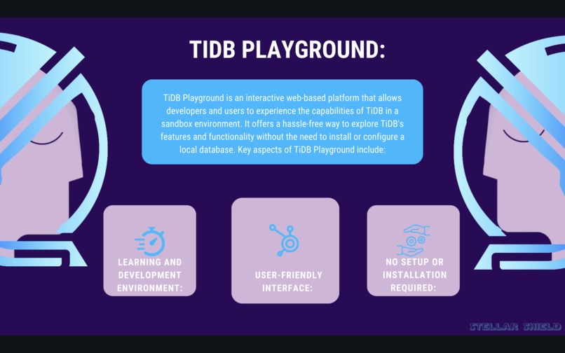 StellarShield TiDB  – screenshot 13