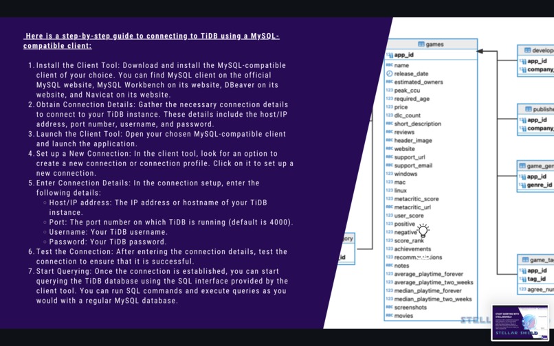 StellarShield TiDB  – screenshot 18