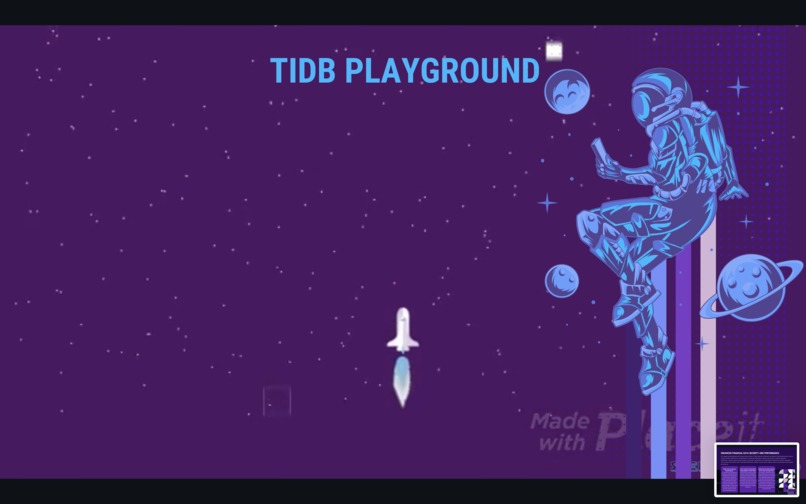 StellarShield TiDB  – screenshot 22