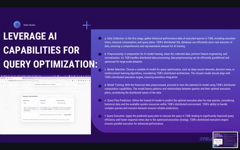 StellarShield TiDB  – screenshot 54