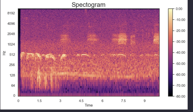 Bird or Human Classifier – screenshot 2