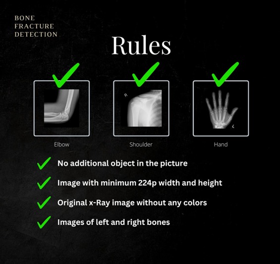 Beginner-Hackathon : AI_fracture_Detection – screenshot 5