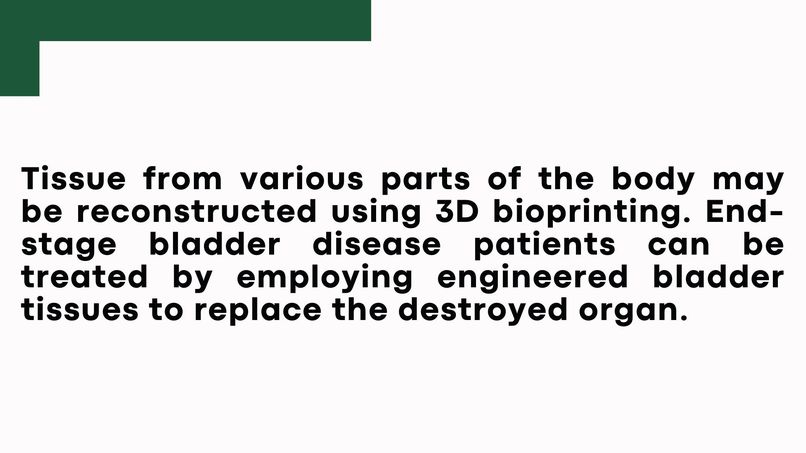 3D BioPrinter: A Revolution in Healthcare – screenshot 10