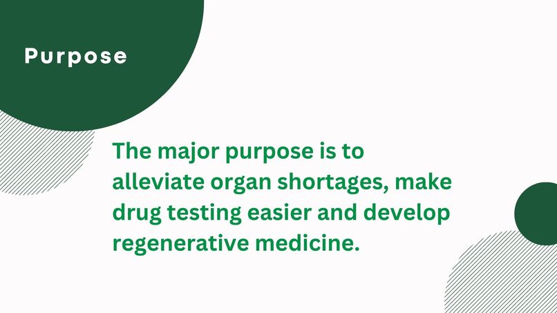 3D BioPrinter: A Revolution in Healthcare – screenshot 4