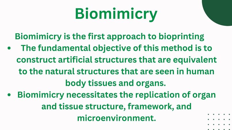3D BioPrinter: A Revolution in Healthcare – screenshot 9