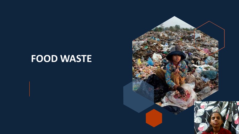 Swiftsters 49 – screenshot 1