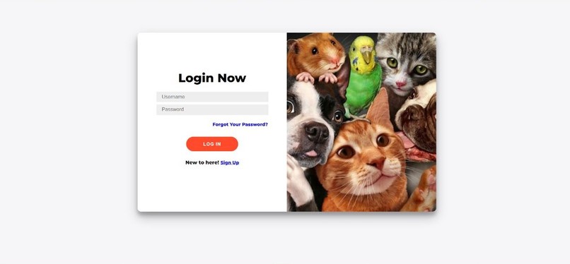 Team 255_Wags and Whiskers – screenshot 4