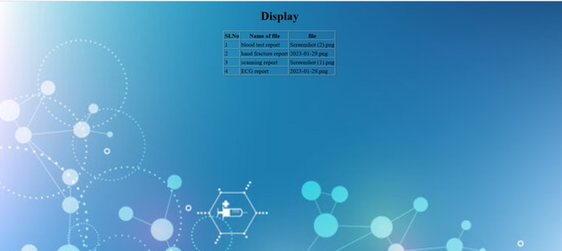 Team 748_Medical Report Analysis – screenshot 10