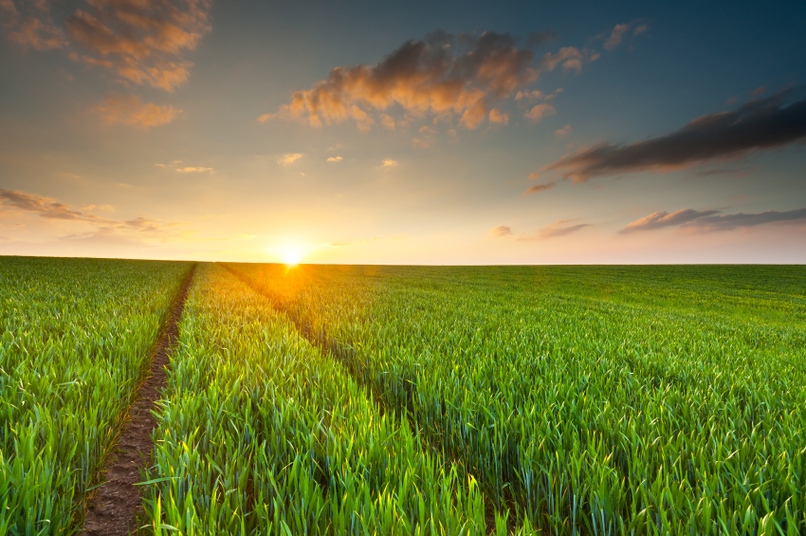 Crop Recommendation System – screenshot 2