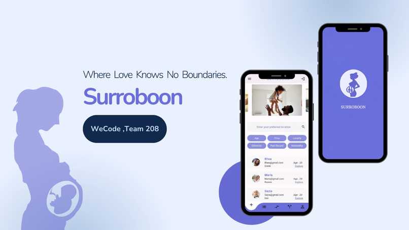 Team 208_SURROBOON – screenshot 1