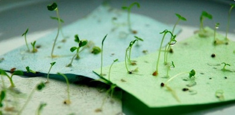 Seed Paper – screenshot 1