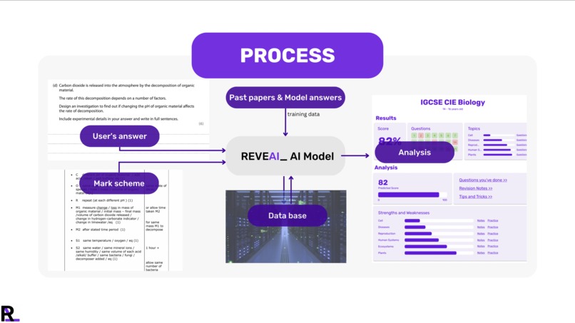 REVEAI_ – screenshot 3