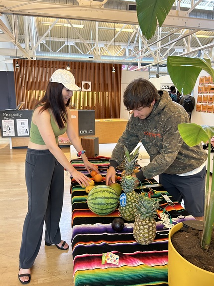 AI fruits installation. Grimes AI remix – screenshot 2