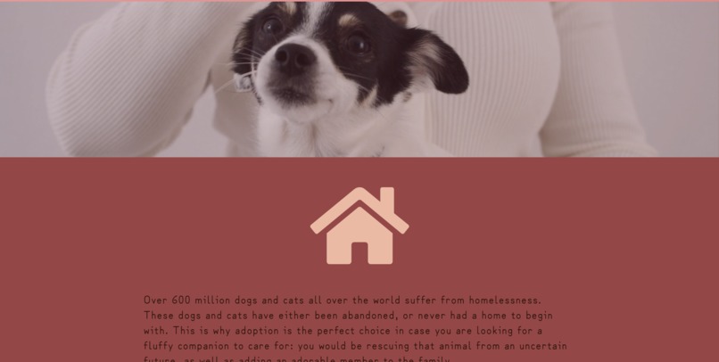 Pawsome Partners – screenshot 1