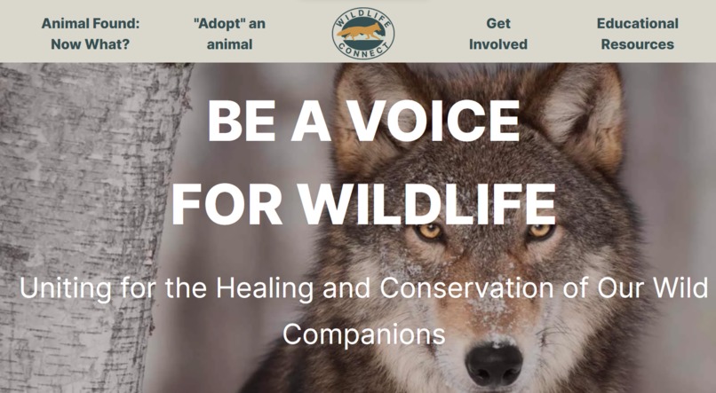 Wildlife Connect – screenshot 1