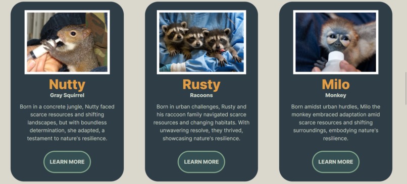 Wildlife Connect – screenshot 4