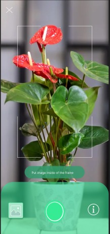 HerBee – screenshot 8