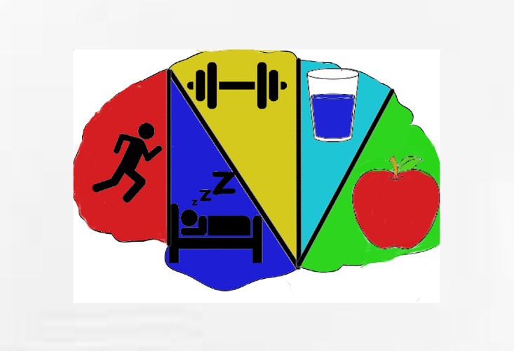 Healthy Pal – screenshot 1