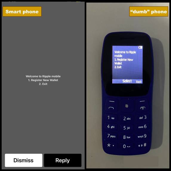 Ripple Mobile – screenshot 1