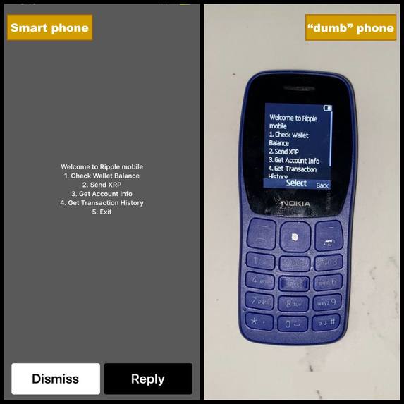 Ripple Mobile – screenshot 2