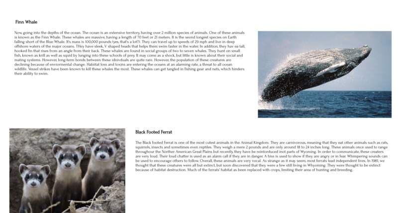 EcoHarmony – screenshot 4