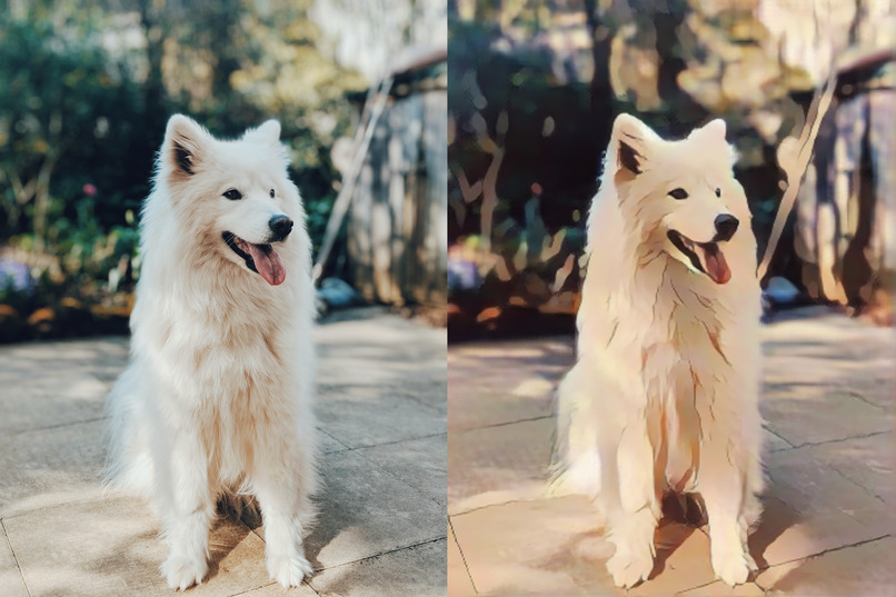 Cartoonify – screenshot 17