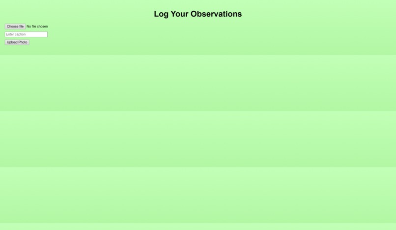 The Green Place – screenshot 4