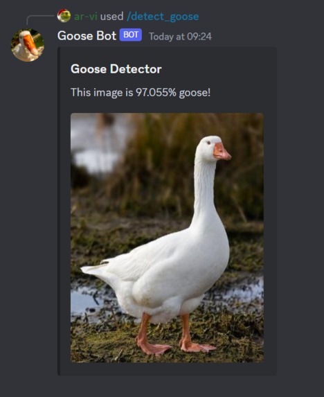 GooseBot – screenshot 4