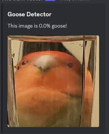 GooseBot – screenshot 6